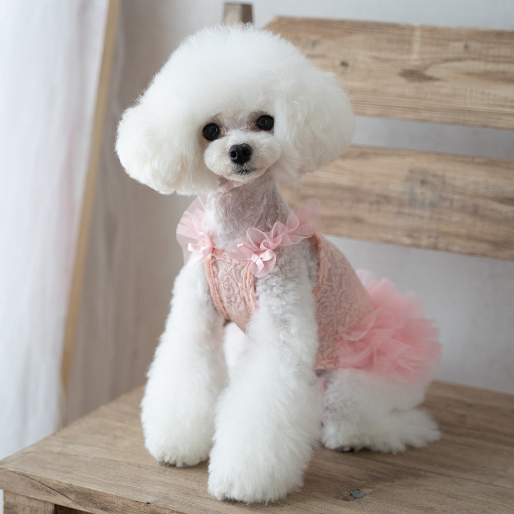 Romantic TuTu Dress / Rose Pink